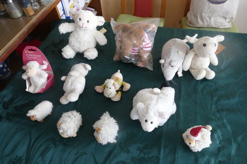 Stofftiere schafe wombat - stofftiere,, schafe,