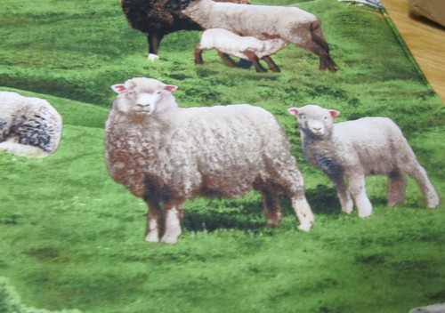 Schaf lamm herde schafsherde - herde,