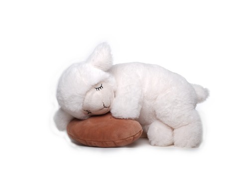 Schlafendes schaf mit kissen - schlafendes,